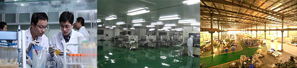 香港正能量,光导照明专业供应商,8年专注 香港正能量,光导照明专业供应商,8年专注