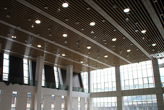 &ldquo;满天星&rdquo;的光导照明